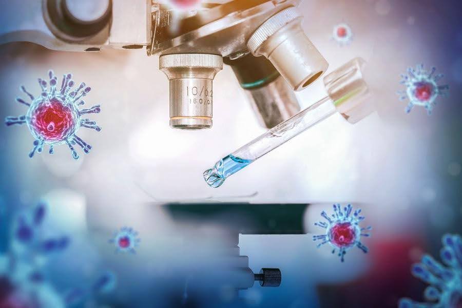 Confronting Long COVID: The Persistent Virus Hypothesis