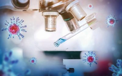 Confronting Long COVID: The Persistent Virus Hypothesis